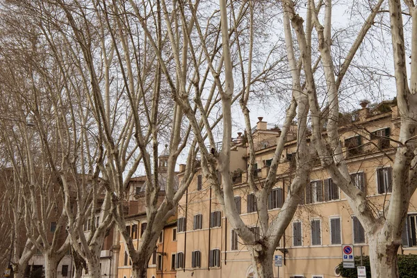 Ancient Buildings Street Rome Italy — Free Stock Photo