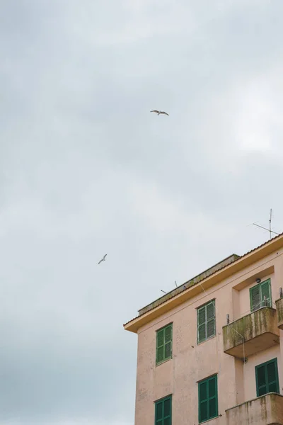 Måsarna Flyger Över Europeiska Byggnader Molnig Dag Anzio Italien — Gratis stockfoto