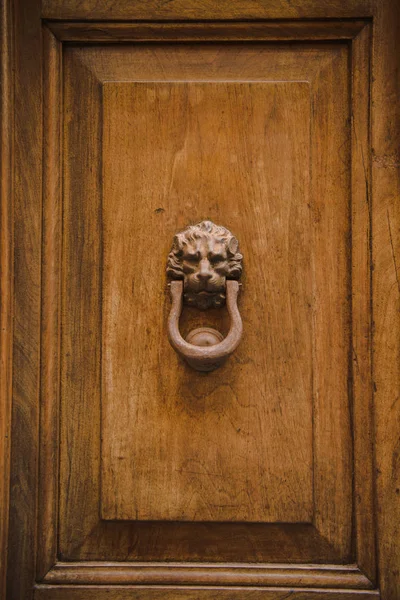 Detailní Záběr Držitele Starožitné Dveře Tvaru Lví Hlavy Řím Itálie — Stock fotografie zdarma