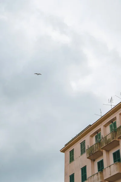 Meeuwen Vliegen Europese Gebouwen Een Bewolkte Dag Anzio Italië — Gratis stockfoto