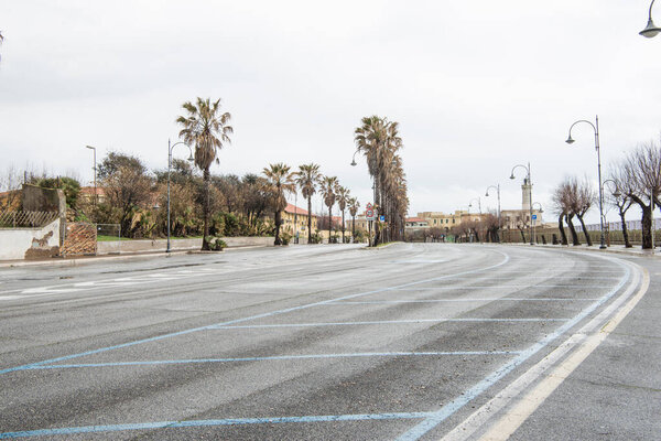 Row of palm trees on street of european city, Anzio, Italy