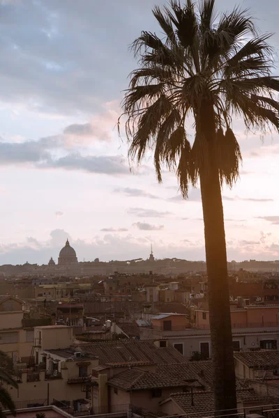 Uitzicht Sint Pieter Basiliek Gebouwen Rome Italië — Gratis stockfoto