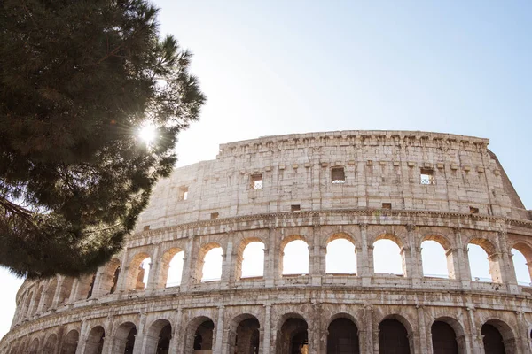 Rome イタリアの古代の美しいコロッセオ遺跡  — 無料ストックフォト