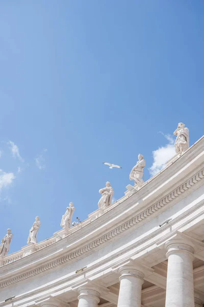 Porumbel Zburând Peste Faimoasa Bazilică Petru Vatican Italia — Fotografie de stoc gratuită