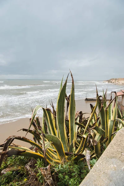 Plaja Nisip Gol Ziua Tulbure Anzio Italia — Fotografie de stoc gratuită