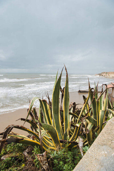 Empty sandy beach on cloudy day, Anzio, Italy