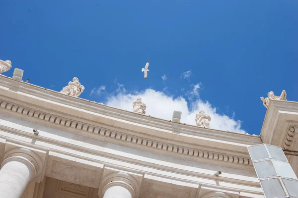 Duvan Flyger Över Berömda Peterskyrkan Vatikanstaten Italien — Gratis stockfoto