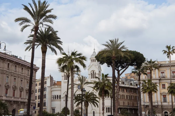 Palm Trees White Building Rome Italy — Free Stock Photo