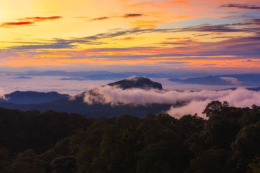 misty morning sunrise in mountains at north Thailand