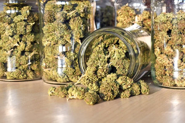 Dry and trimmed cannabis buds stored in a glas jars. — Stock Photo, Image