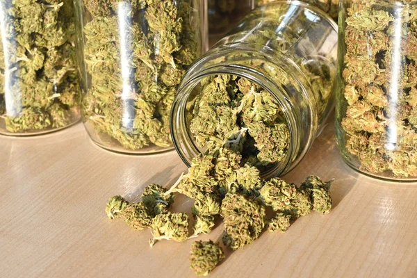Droog en bijgesneden cannabis toppen die zijn opgeslagen in een glas potten. — Stockfoto