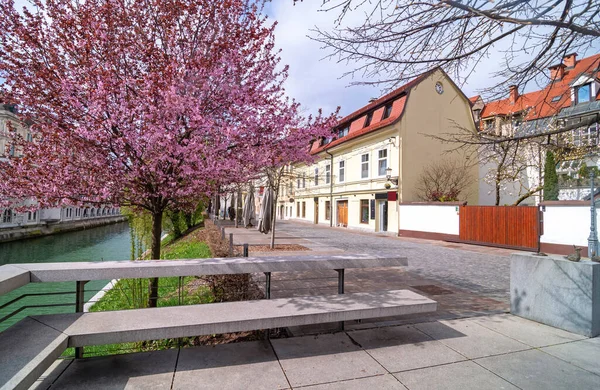 Pazar Sabahı Ljubljana Nın Eski Şehir Merkezinde Coronavirus Karantinası Ljubljana — Stok fotoğraf