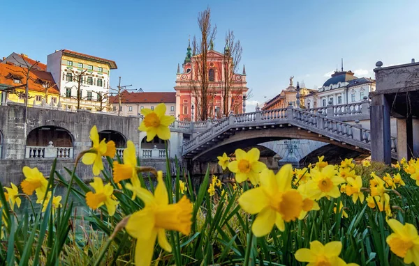 Puentes Triples Iglesia Franciscana Con Flores Amarillas Primer Plano Día — Foto de Stock