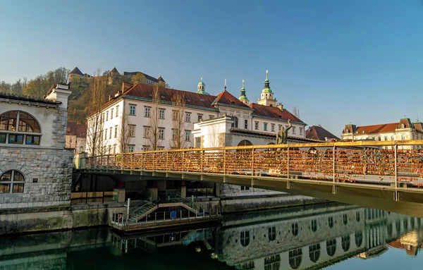 Butcher bridge with love padlocks, Saint Nicholas Cathedral and Ljubljana castle in the background, Ljubljana, Slovenia