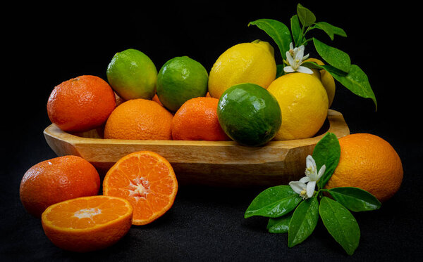 ЖИЗНЬ ТРОПИЧЕСКИХ ФРУИТОВ ГОРОДА
