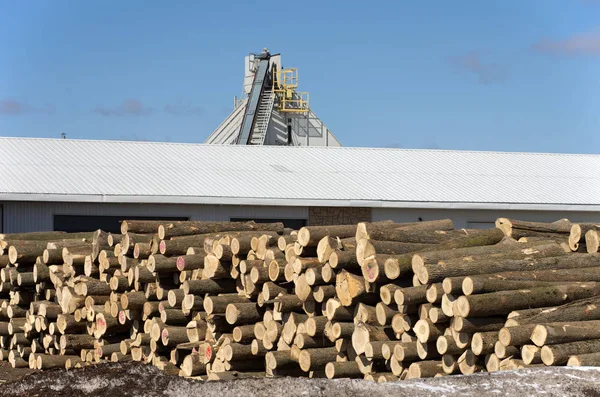 Pile de grumes par scierie — Photo