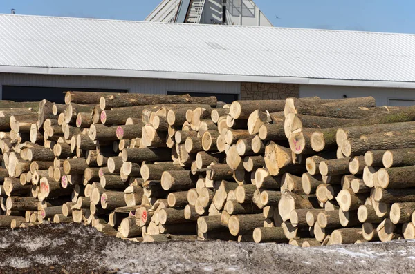 Pile de grumes par scierie — Photo