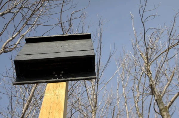 Casa de murciélagos en madera Post —  Fotos de Stock