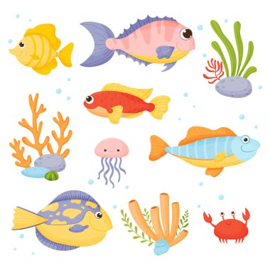 Deniz hayatı. Beyaz arkaplanda izole edilmiş çizgi film biçiminde vektör ayarlandı.