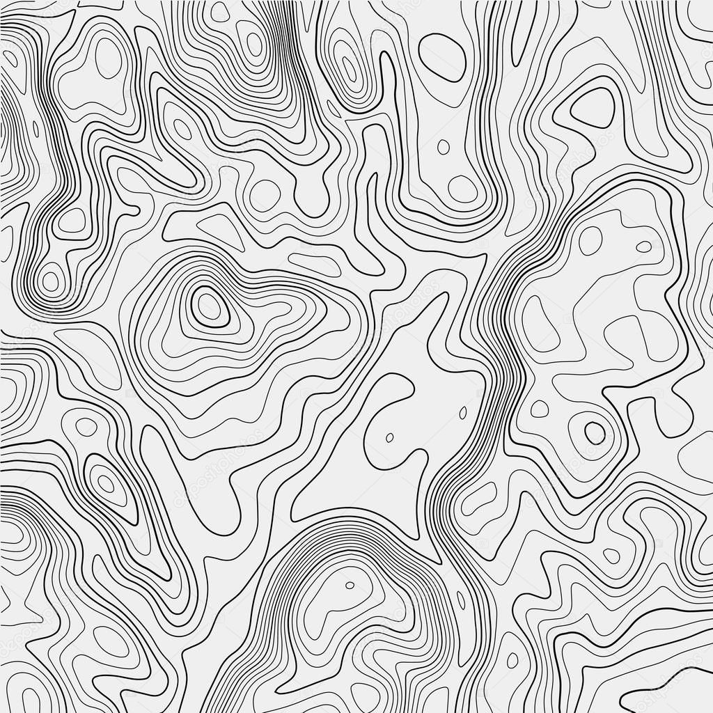 Topographic map on white background. Vector grid map.