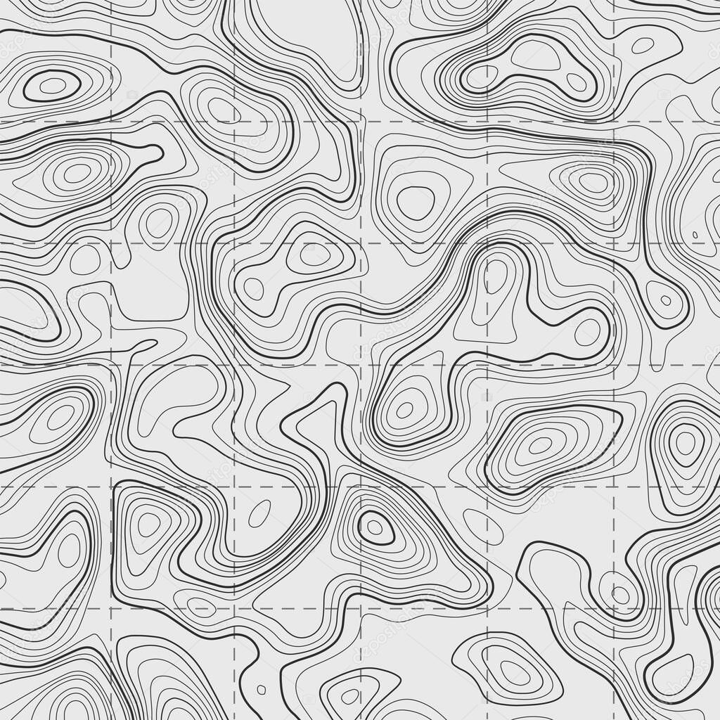 Topographic map on white background. Vector grid map.