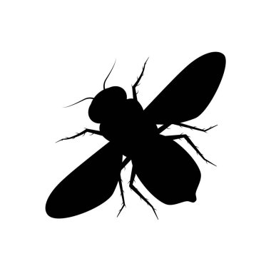 Beyaz arka planda bal arısı ikonu. Düz biçimli vektör böcek silueti.