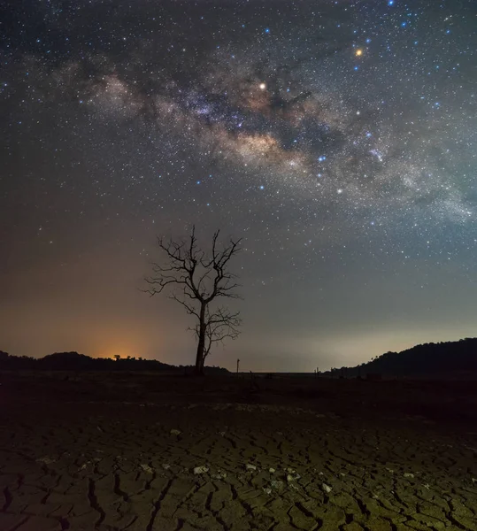 Beautiful Night Starry sky with Rising Milky Way over the dead t — Stock Photo, Image