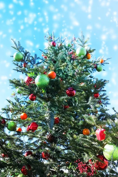 Árvore de Natal na neve caindo, ângulo de elevação com céu azul — Fotografia de Stock