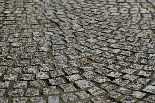 Wet cobblestone pavement after the rain. — Stock Photo, Image