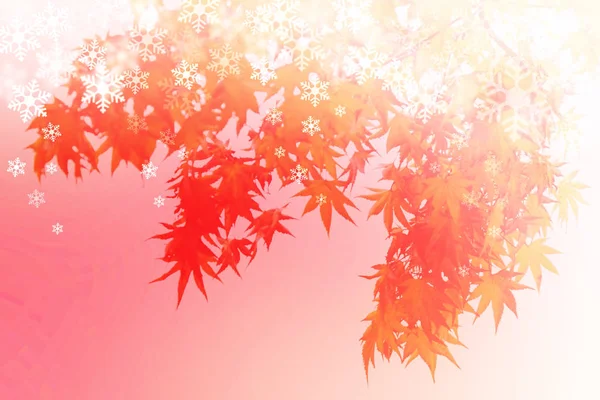 抽象秋天叶子冬天场面, 红色枫树的剪影阴影在分支与雪花在红色背景. — 图库照片