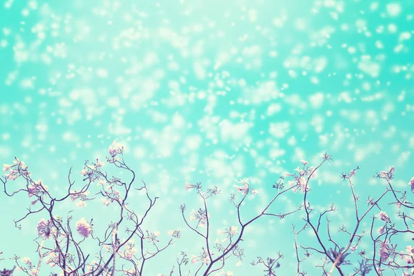 Bladloos boomtak met roze bloemen tegen de blauwe lucht en sneeuw vallen voor achtergrond, vintage afbeelding toned. — Stockfoto