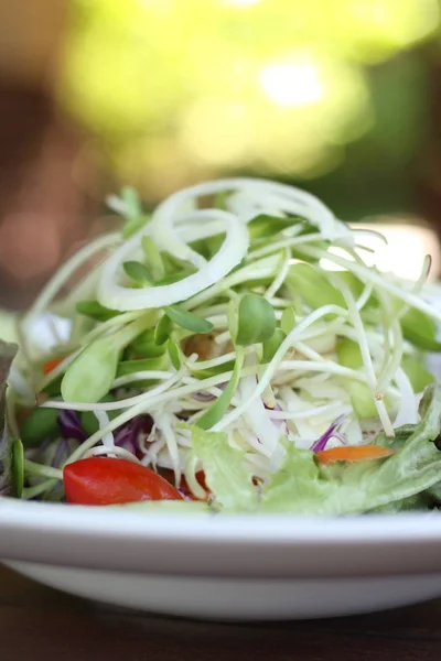 Gros plan de la recette de salade de légumes frais avec backg bokeh vert — Photo