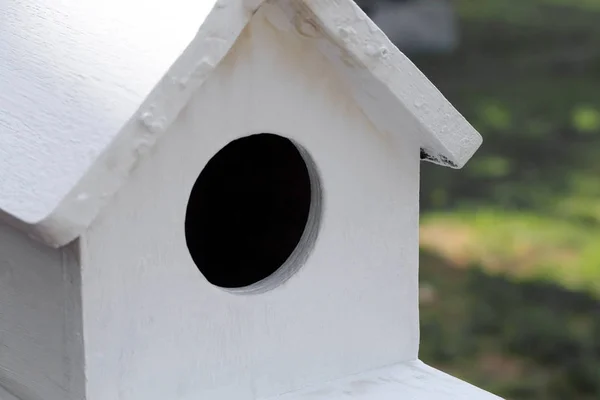 Nahaufnahme des weißen Vogelhauses. — Stockfoto