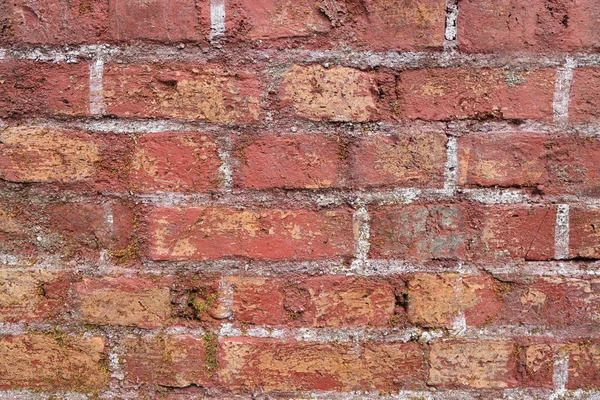 The red brick wall of the abandoned ruins. — Stock Photo, Image