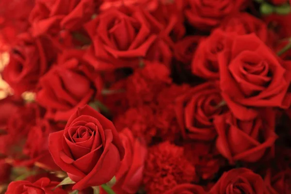 Güzel kırmızı gül çiçek buketi. — Stok fotoğraf