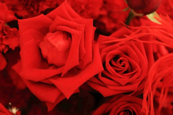 Close-up van de mooie rode roos in bloemboeket. — Stockfoto