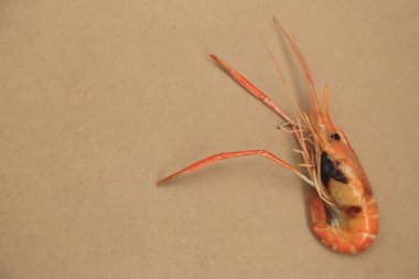 Üzerinde kahverengi kağıt arka plan kopya alanı ile kavrulmuş ızgara karides.