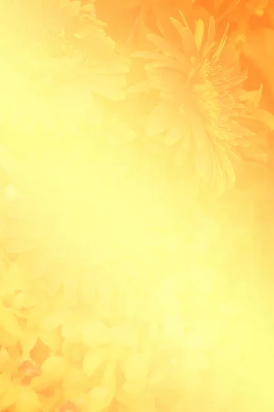 Blurred shadow of flower on bright yellow and orange vivid color background. — Stock Photo, Image