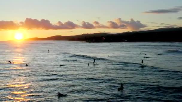 Surfer Bei Sonnenuntergang Filmische Drohnenaufnahmen Hawaii — Stockvideo