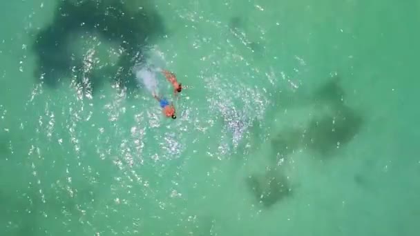 Couple Plongée Apnée Dans Océan Tropical — Video