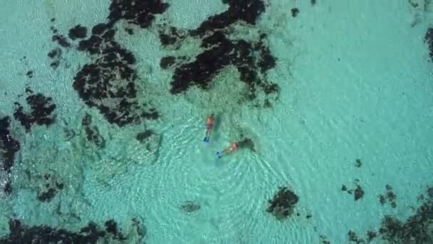 Couple Snorkeling Shallow Turquoise Water — Stock Video