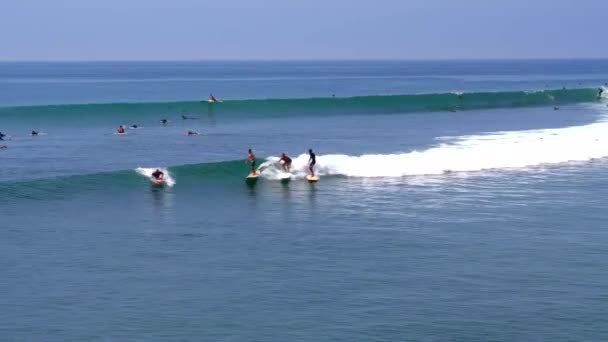 Longboard Surfers Peru — Stockvideo