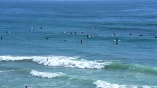 Surfare Sitter Brädor Havet Och Väntar Vågor — Stockvideo