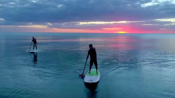 Two Paddleboarders Sunset Aerial Drone — Stock Video