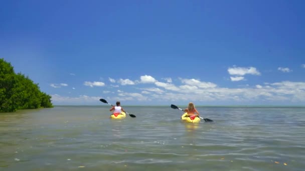 Pareja Kayak Claro Océano Día Soleado Por Isla Tropical — Vídeos de Stock