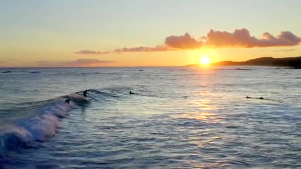 ハワイの空中ドローンでの映画4Kサーファー — ストック動画