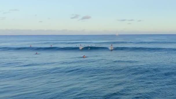 Groep Surfers Oceaan Bij Zonsondergang Hawaii Luchtfoto Drone Beelden — Stockvideo