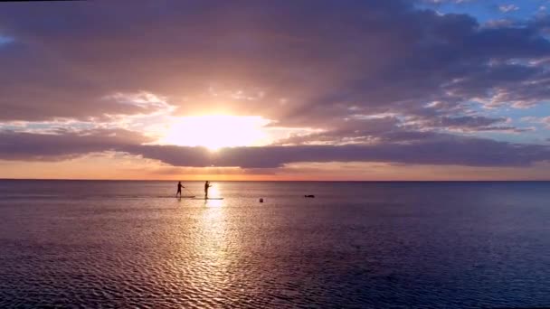 Zwei Paddler Bei Sonnenuntergang Mit Delfinen Drohne — Stockvideo