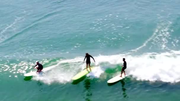 Longboard Surfers Στο Malibu — Αρχείο Βίντεο