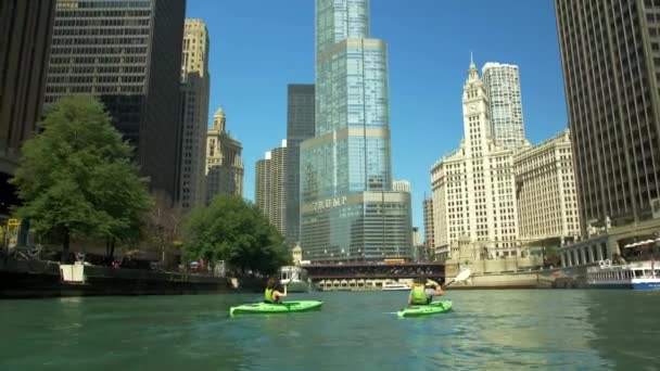 Par Kajakpaddling Chicago Floden Centrum — Stockvideo